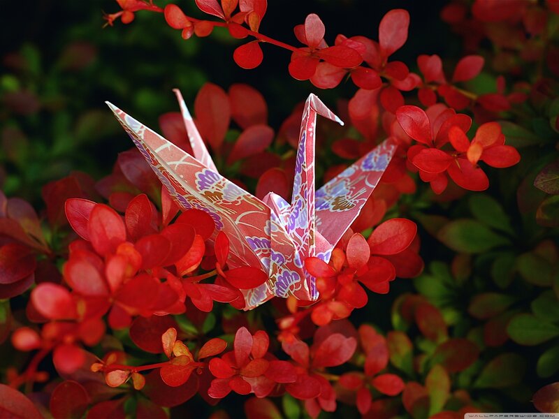 Origami Crane in Flowers