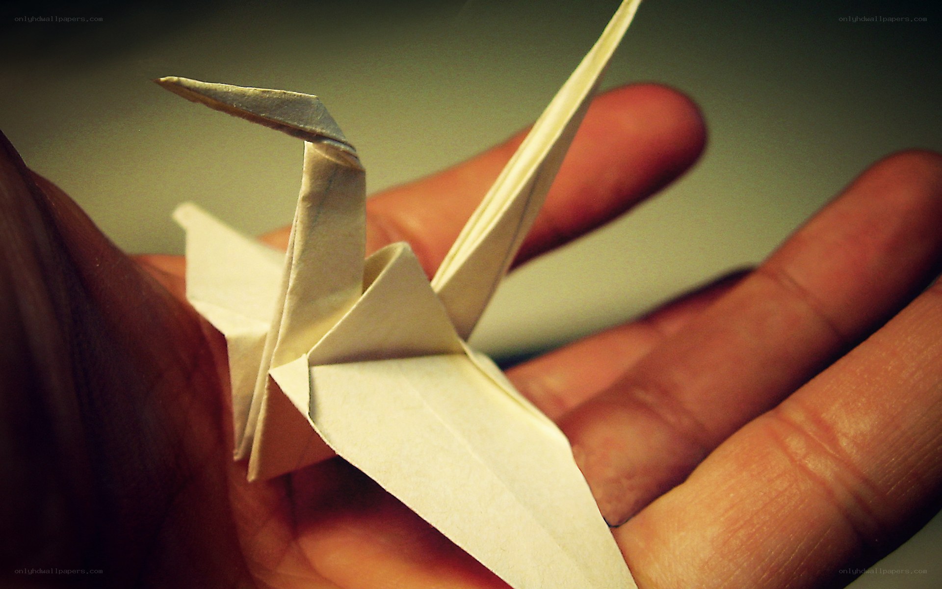 Origami crane in hand