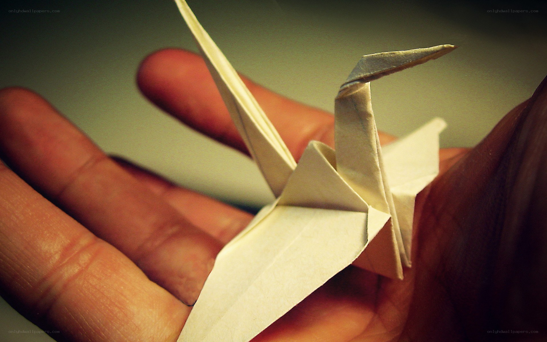 Origami crane in hand