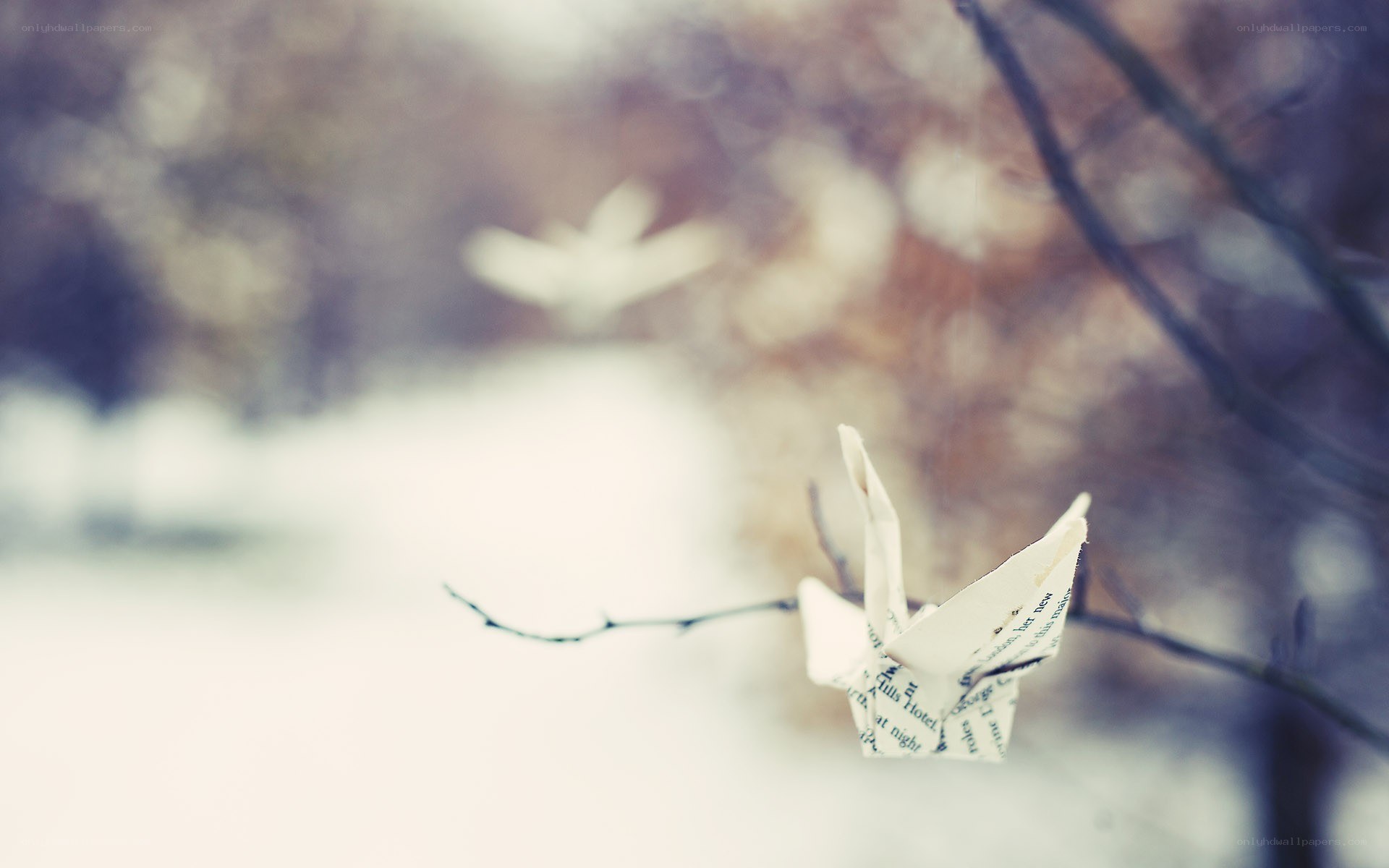 origami crane on a branch
