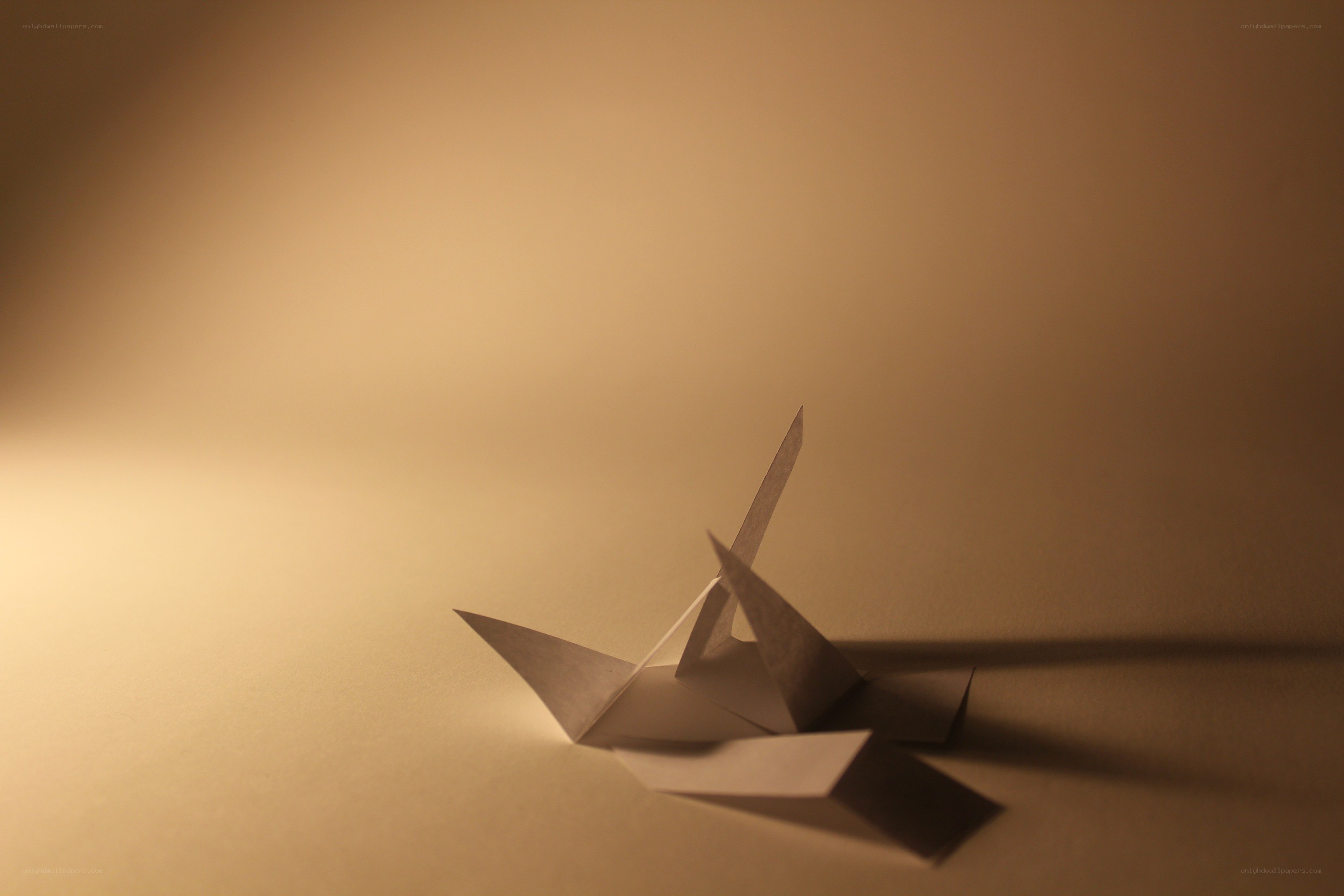Origami crane on warm background