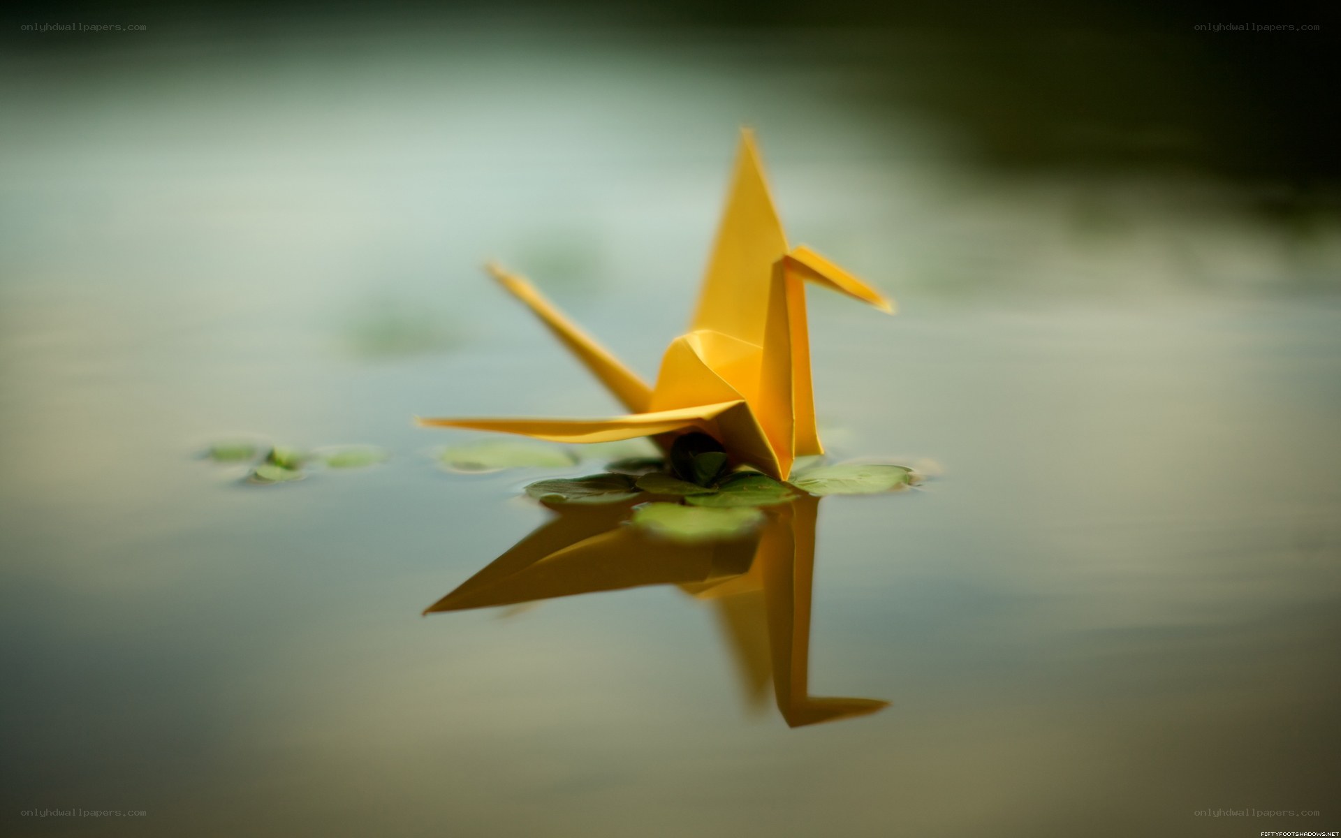 Origami crane on water