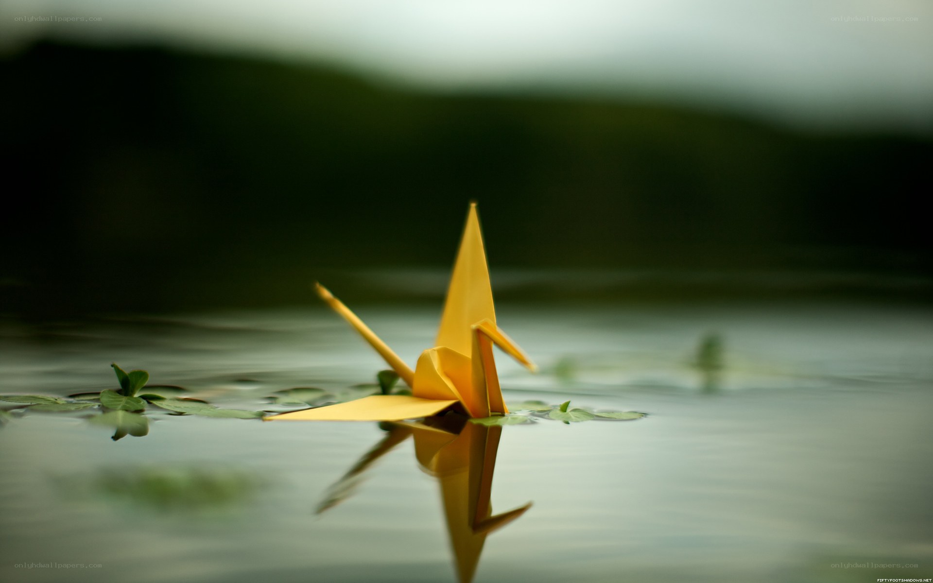 Origami crane on water