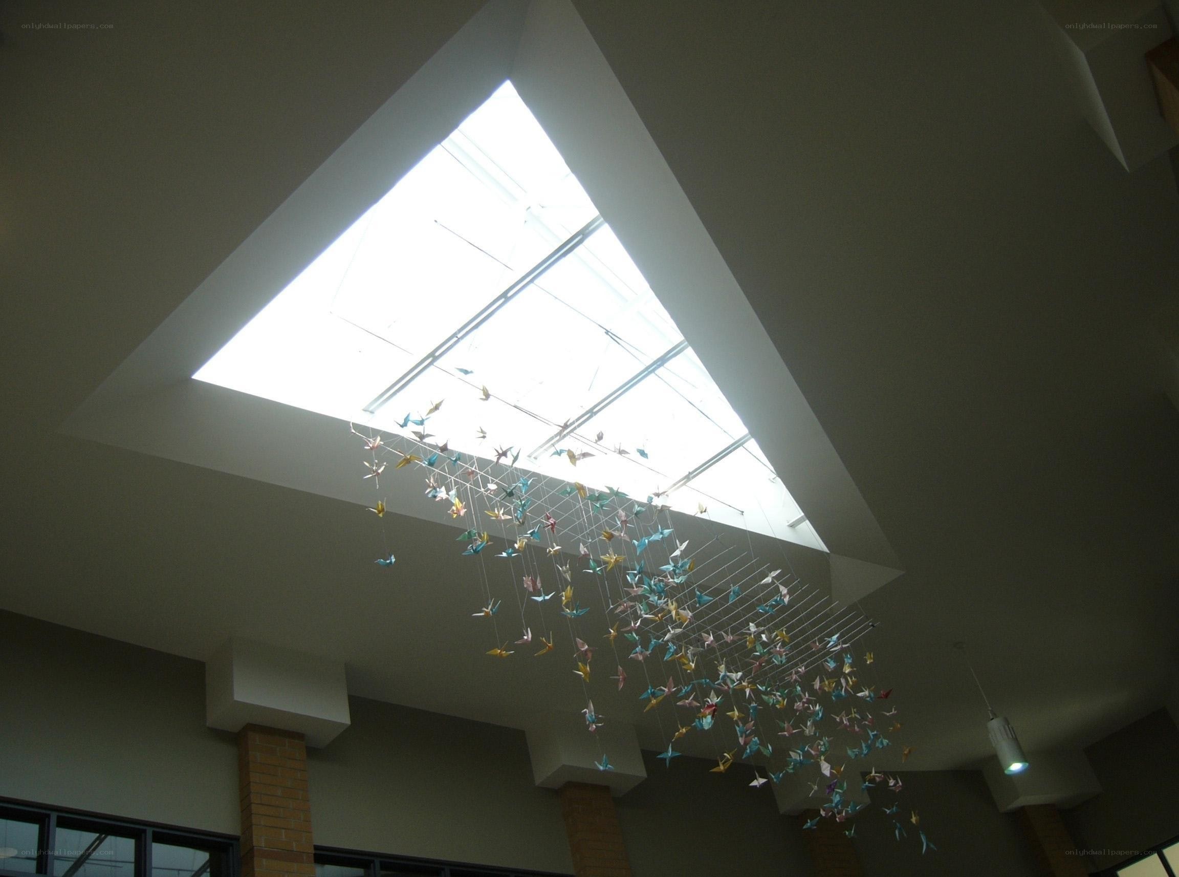 Origami cranes hanging under skylight