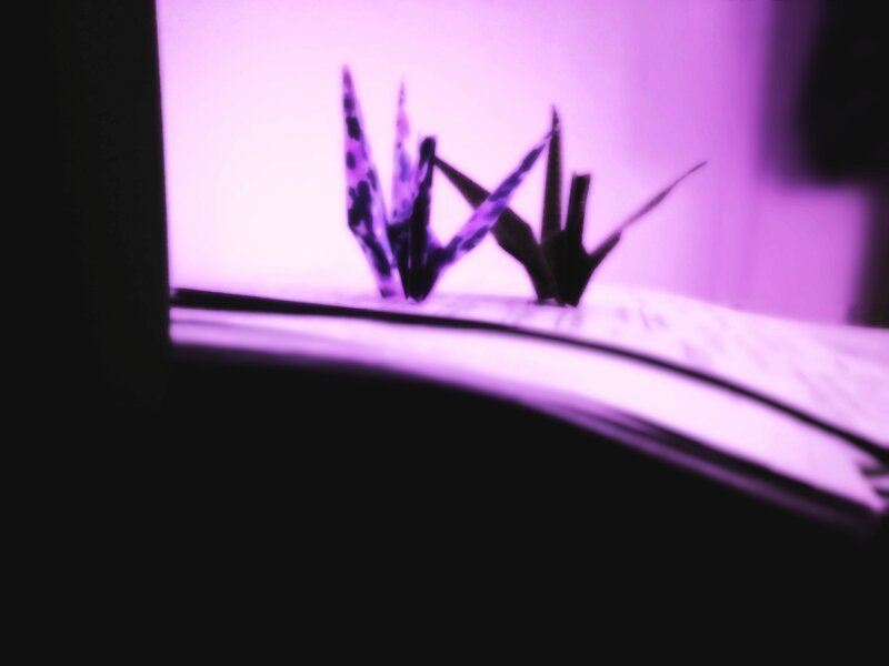 Origami Cranes on Book