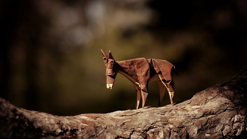 Origami Donkey on Log