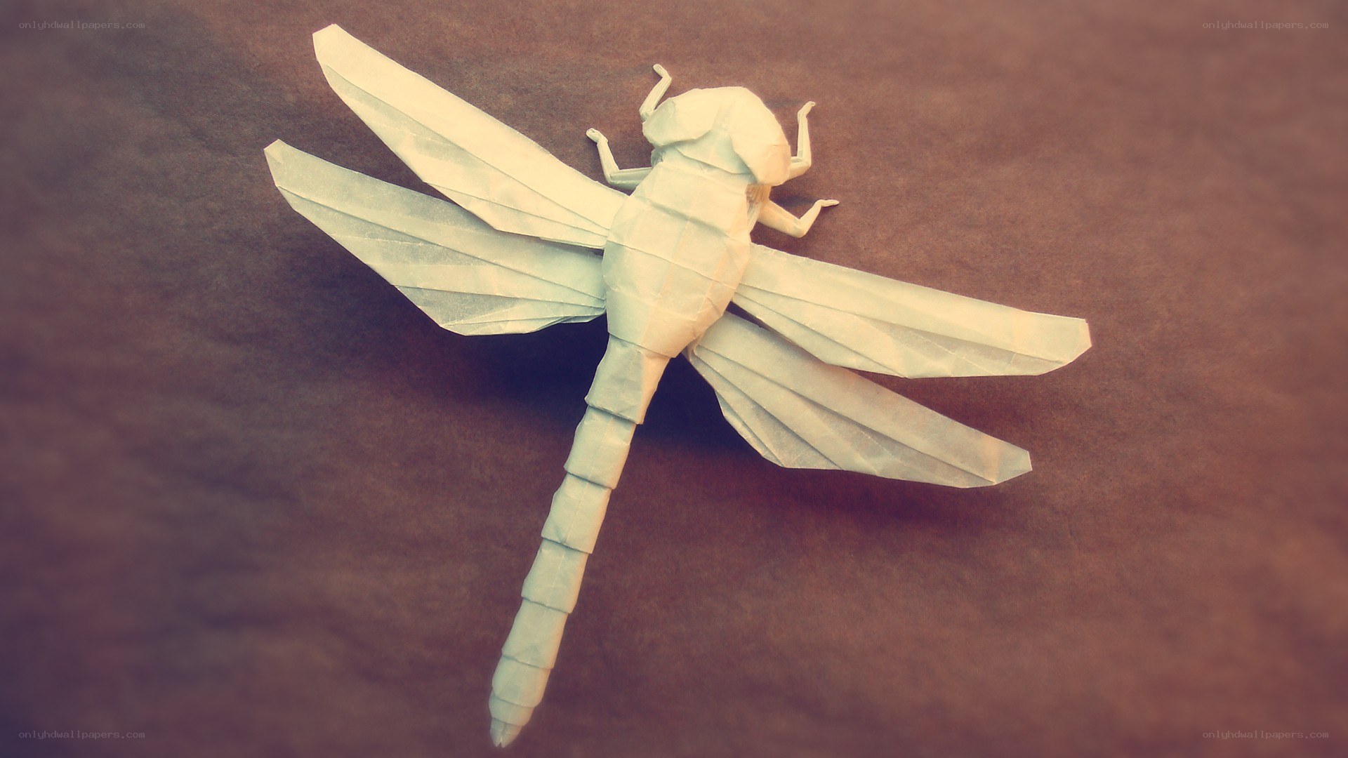 origami dragonfly model