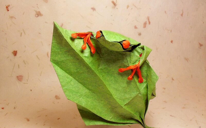 Origami Frog on Leaf