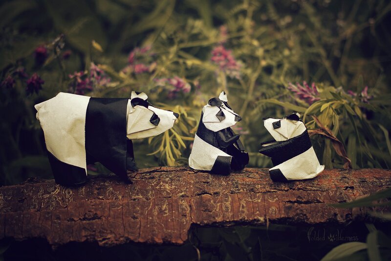 Origami Pandas on Log