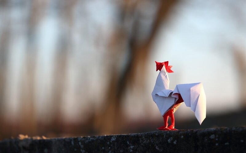 Origami Rooster