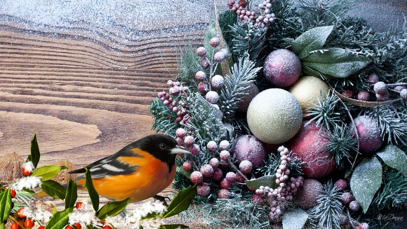 Oriole Bird on Wreath