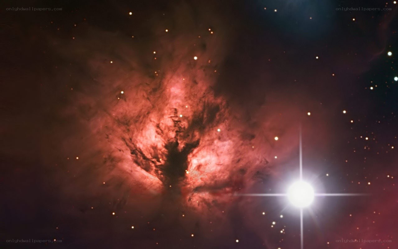 Orion Nebula and star field