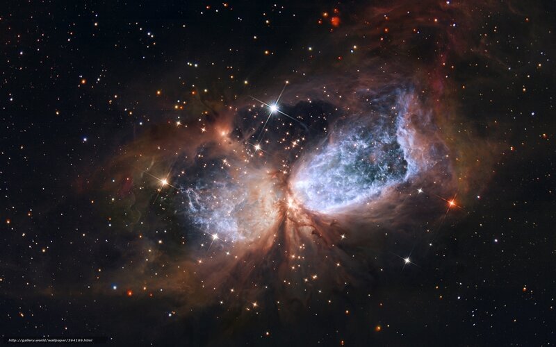 Orion Nebula — Black, Cosmic, Night, Photograph, Stars, Gas Clouds