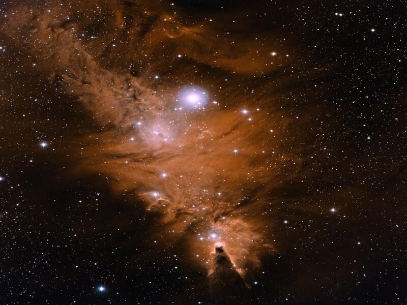 Orion Nebula — Brown, Cosmic