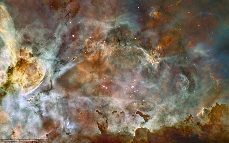 Orion Nebula — Brown