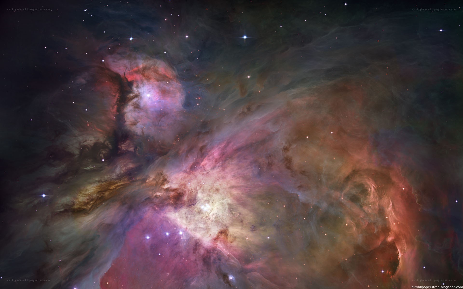 Orion Nebula in space