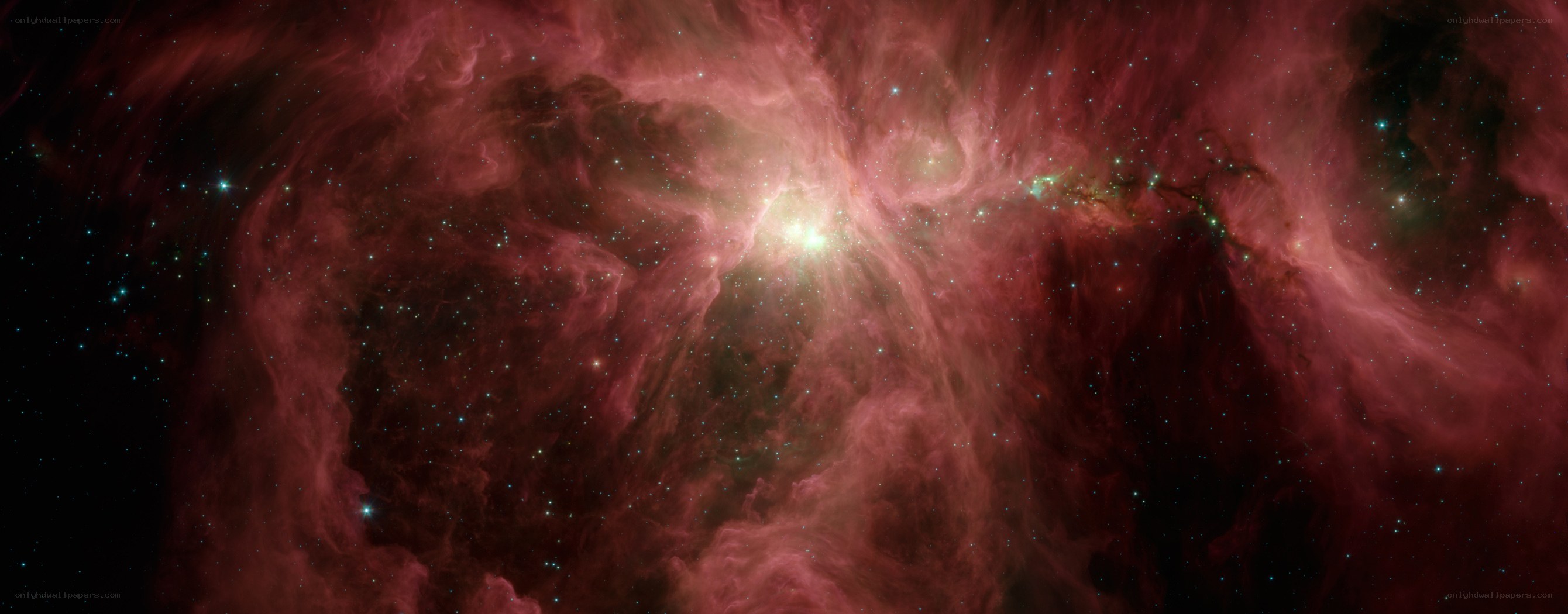 Orion Nebula in space