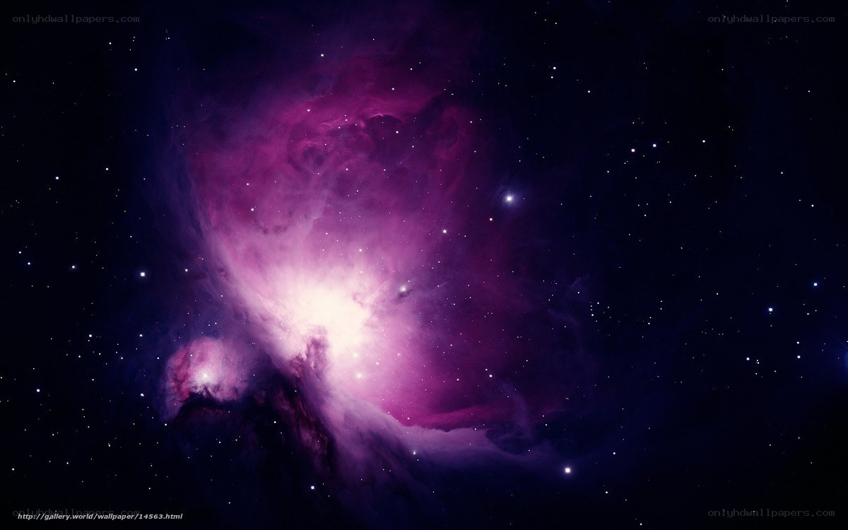 Orion Nebula in space