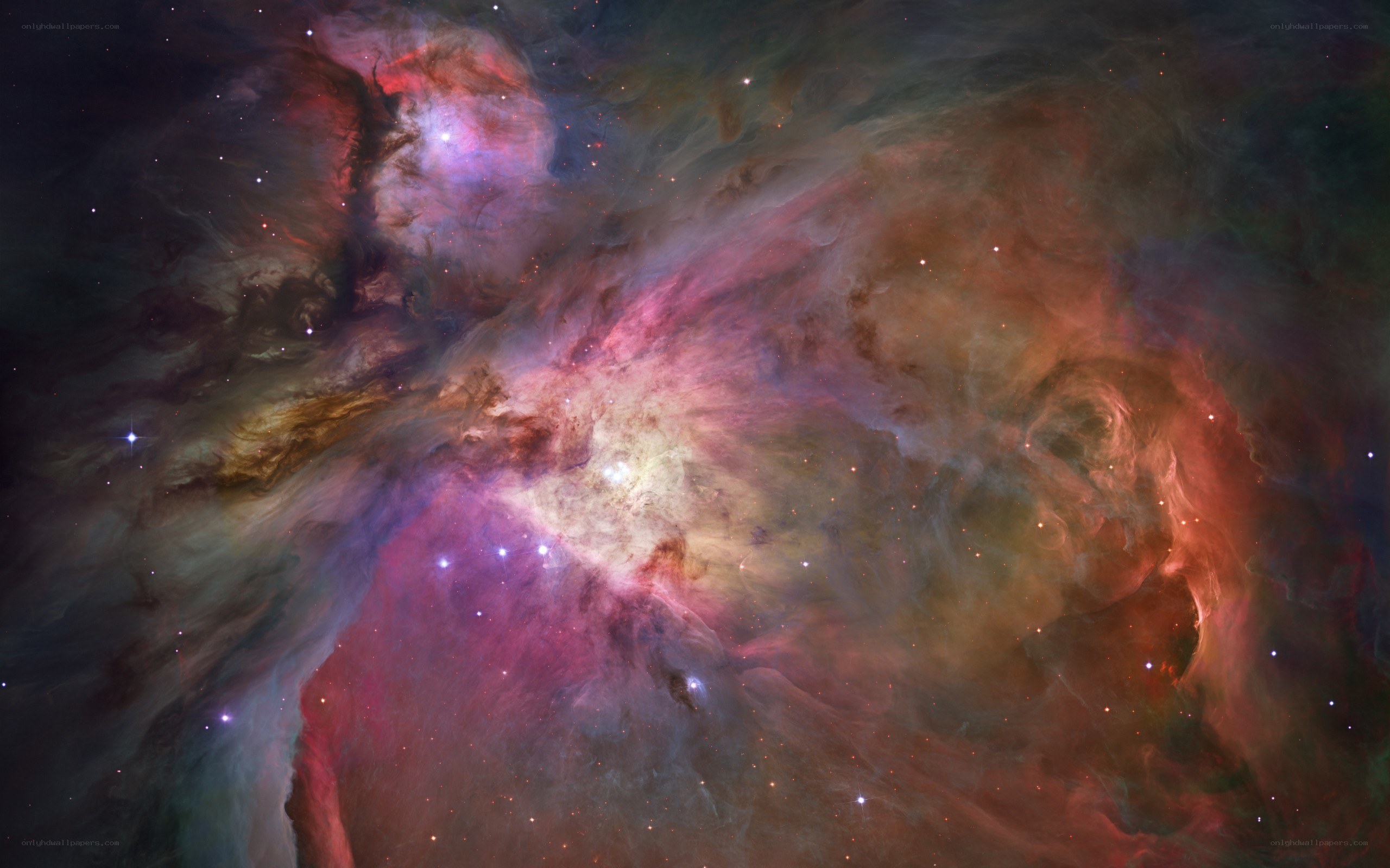Orion Nebula in Space