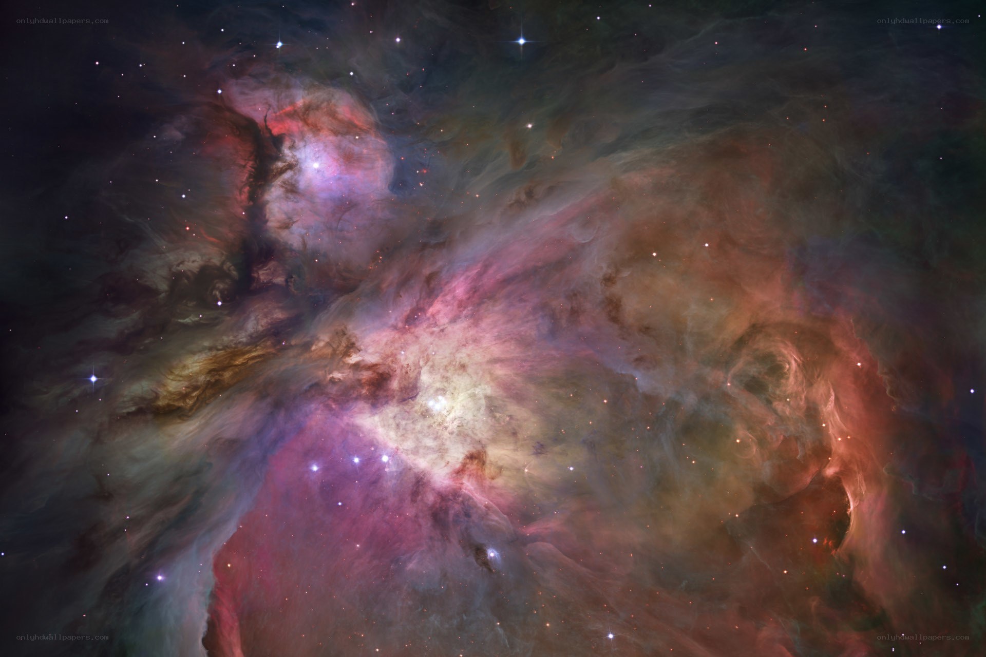 Orion Nebula in space