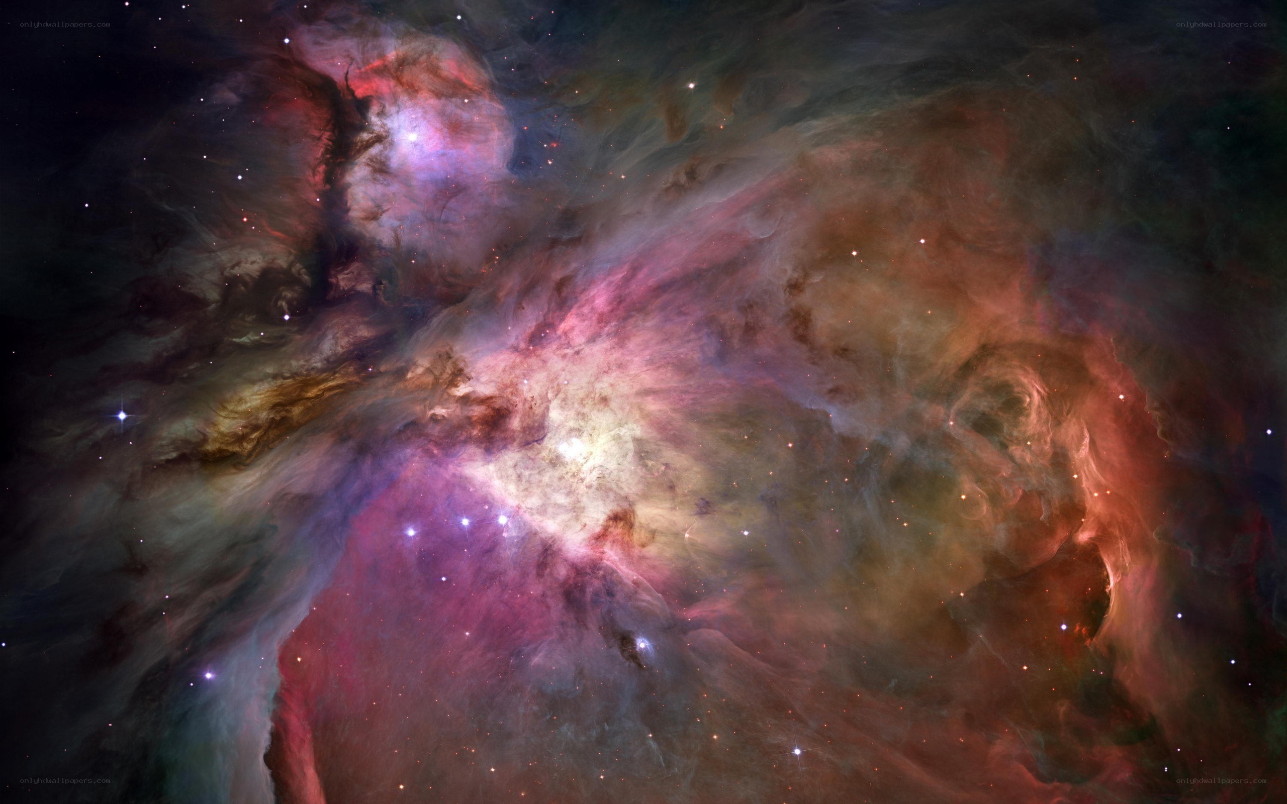 Orion Nebula in space