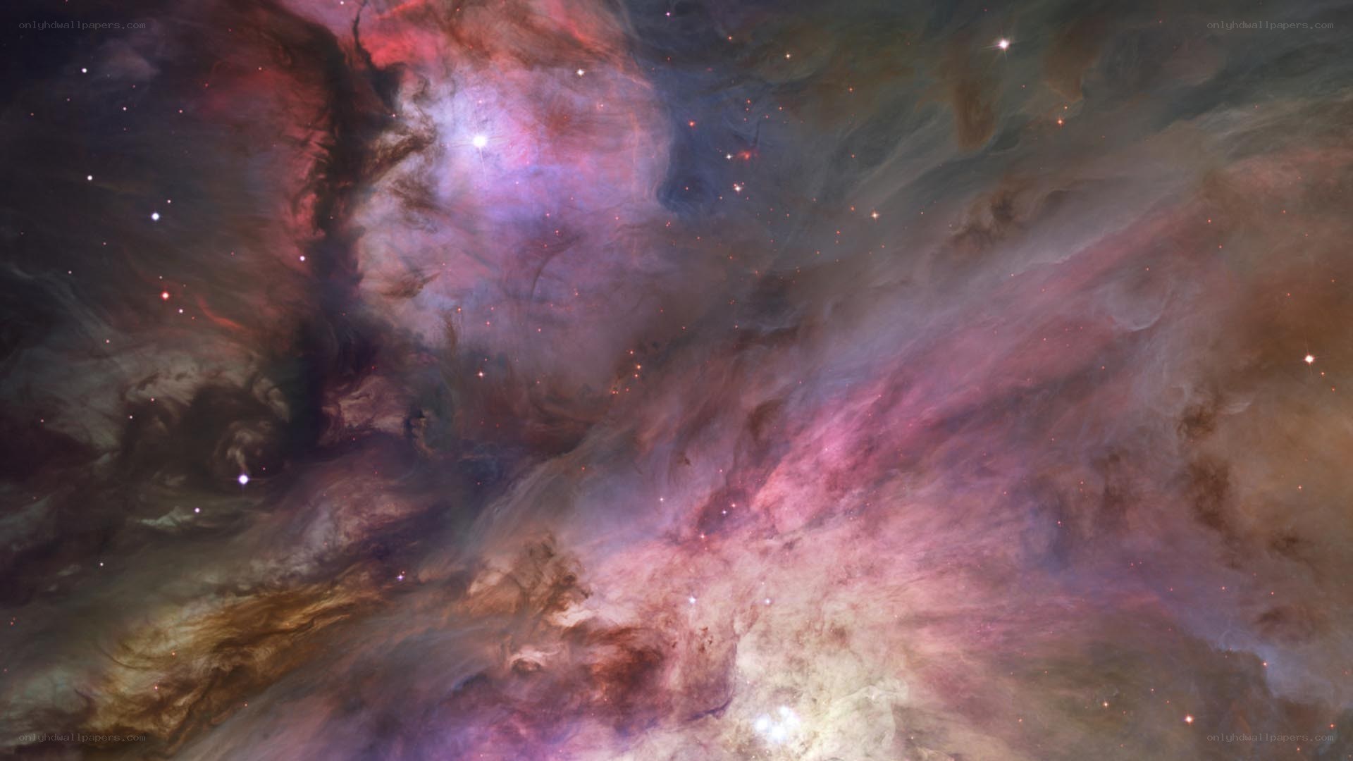 Orion Nebula in space