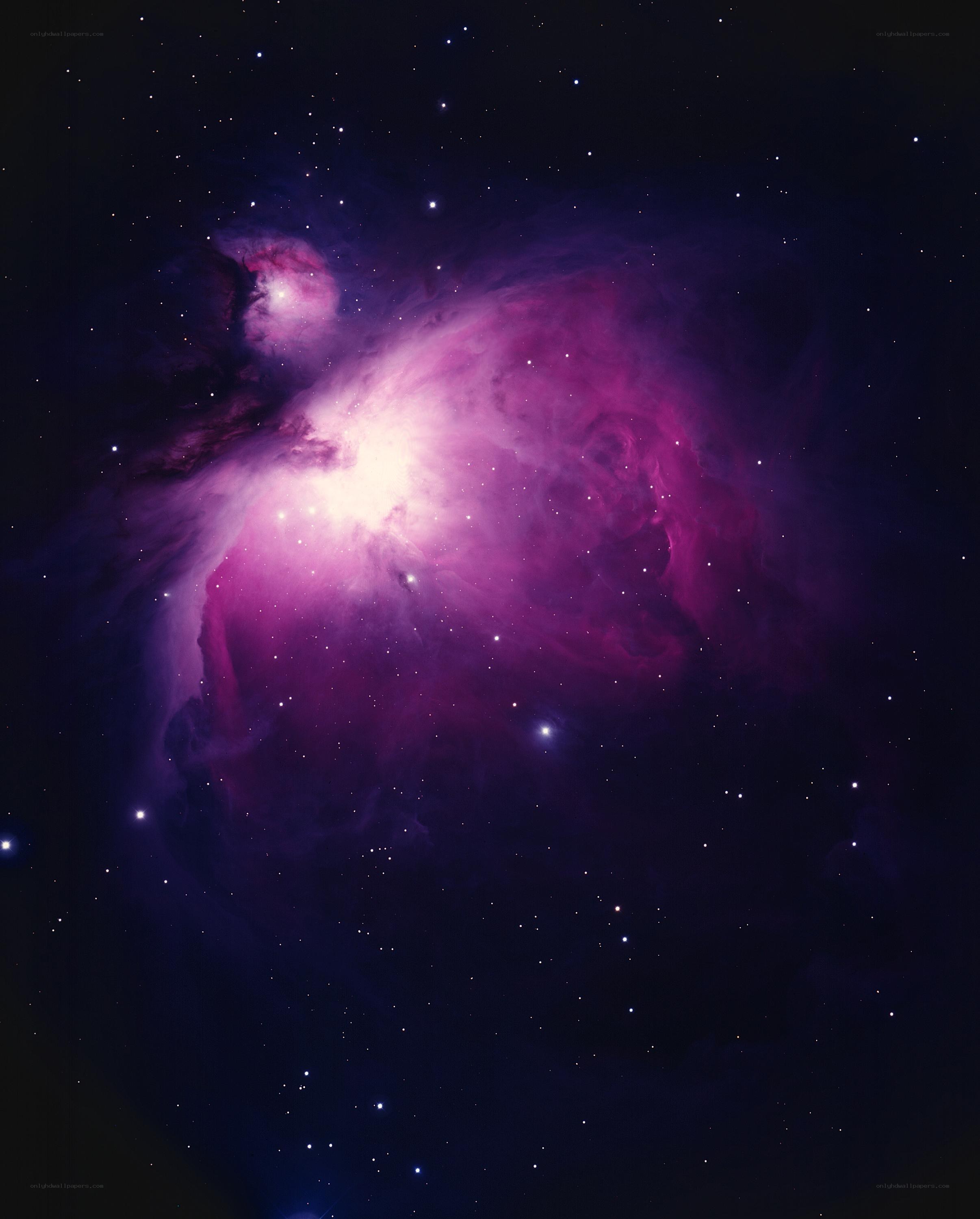 Orion Nebula in space