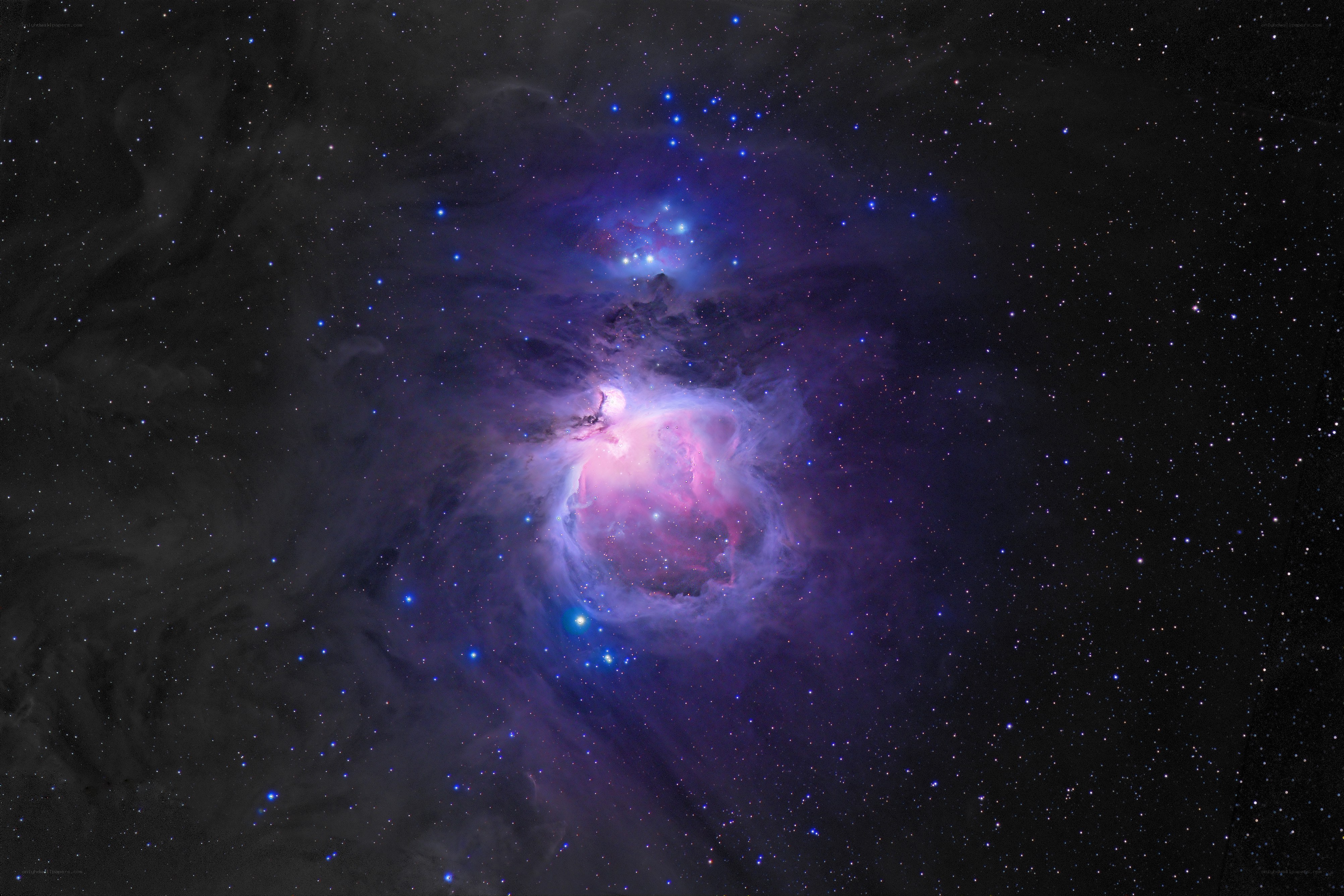 Orion Nebula in space