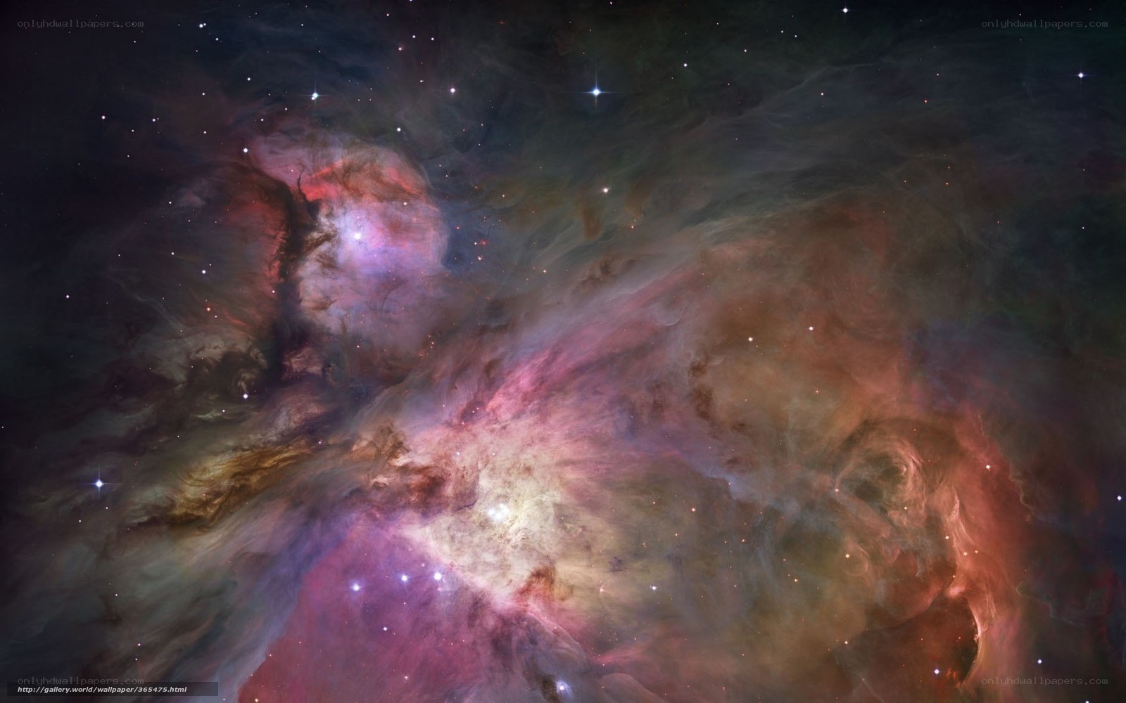 Orion Nebula in Space