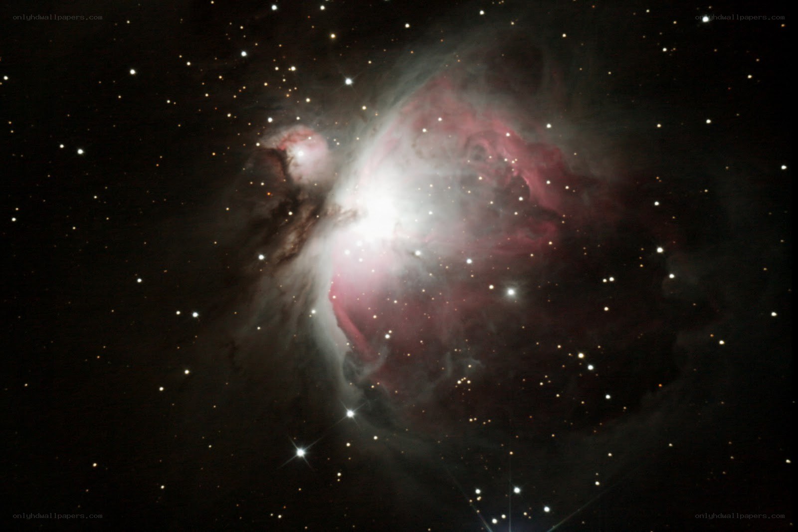 Orion Nebula in space