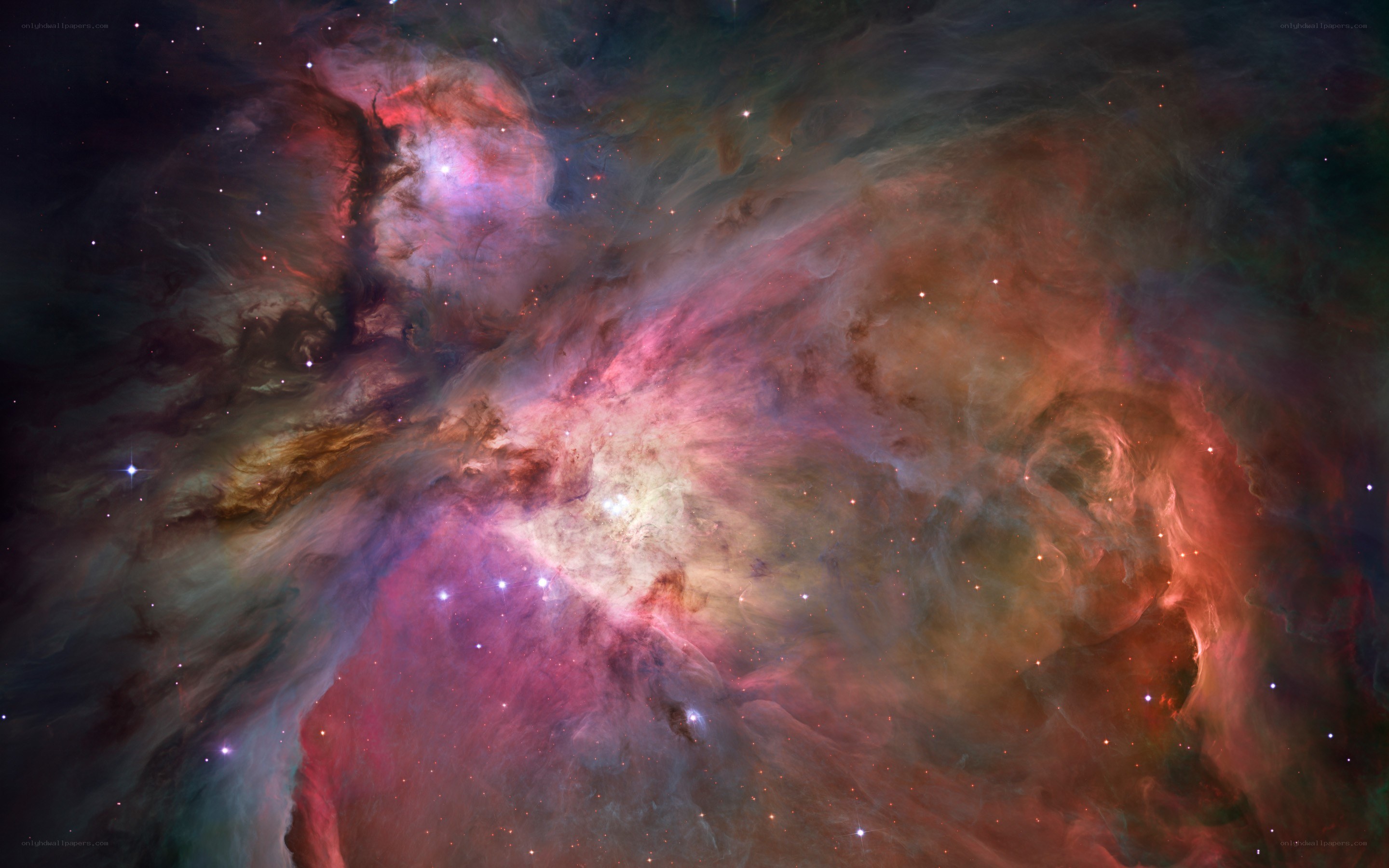 Orion Nebula in space