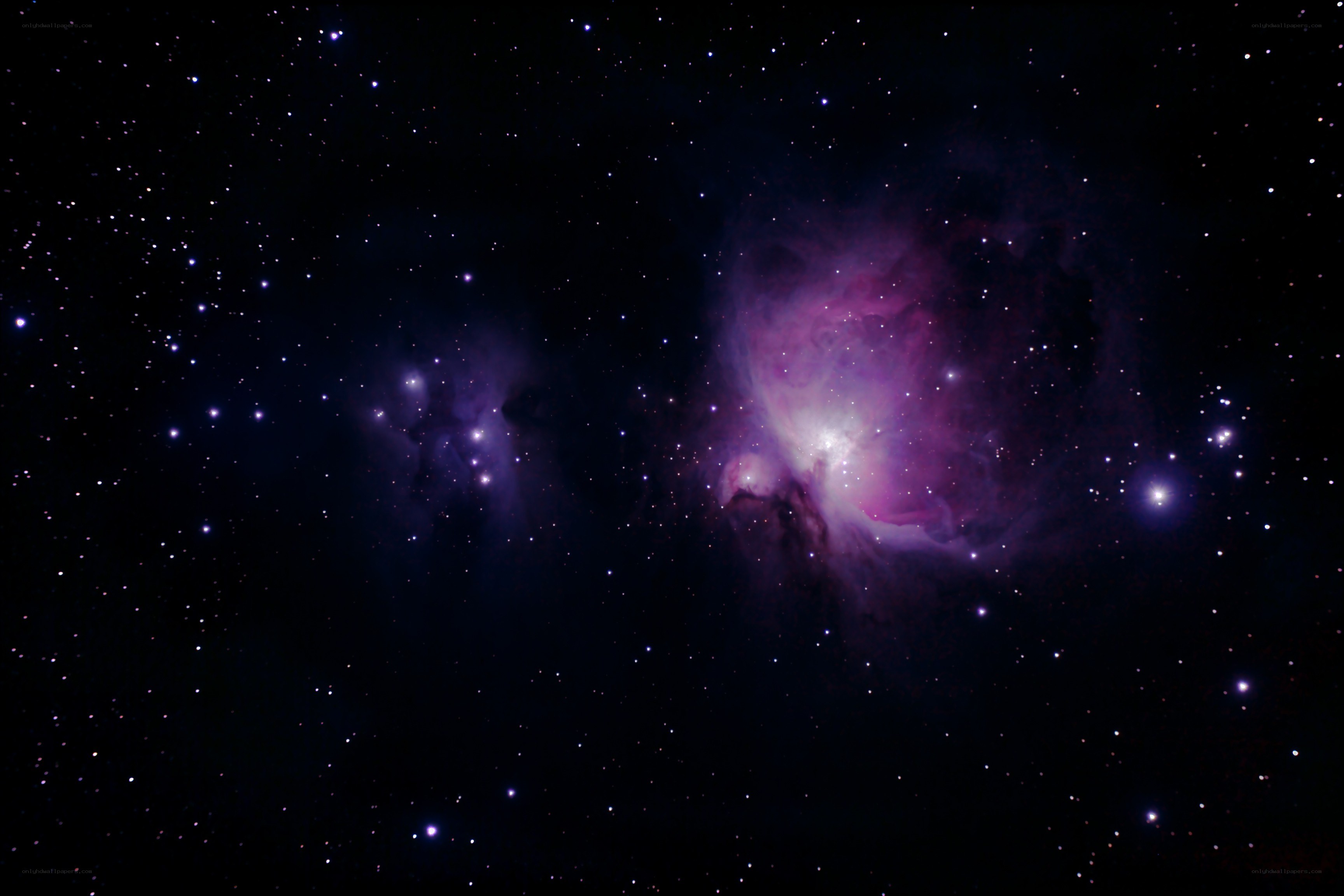 Orion Nebula in space