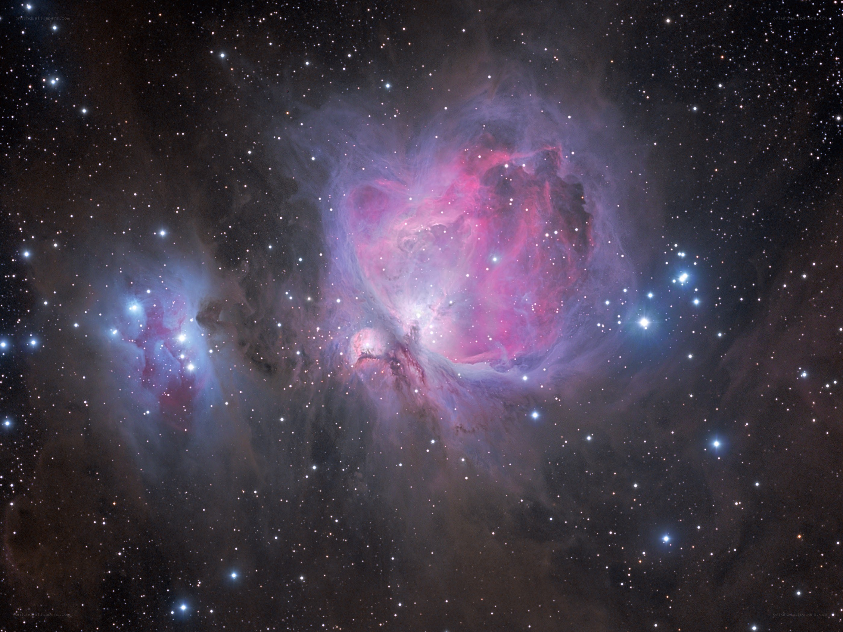 Orion Nebula in space