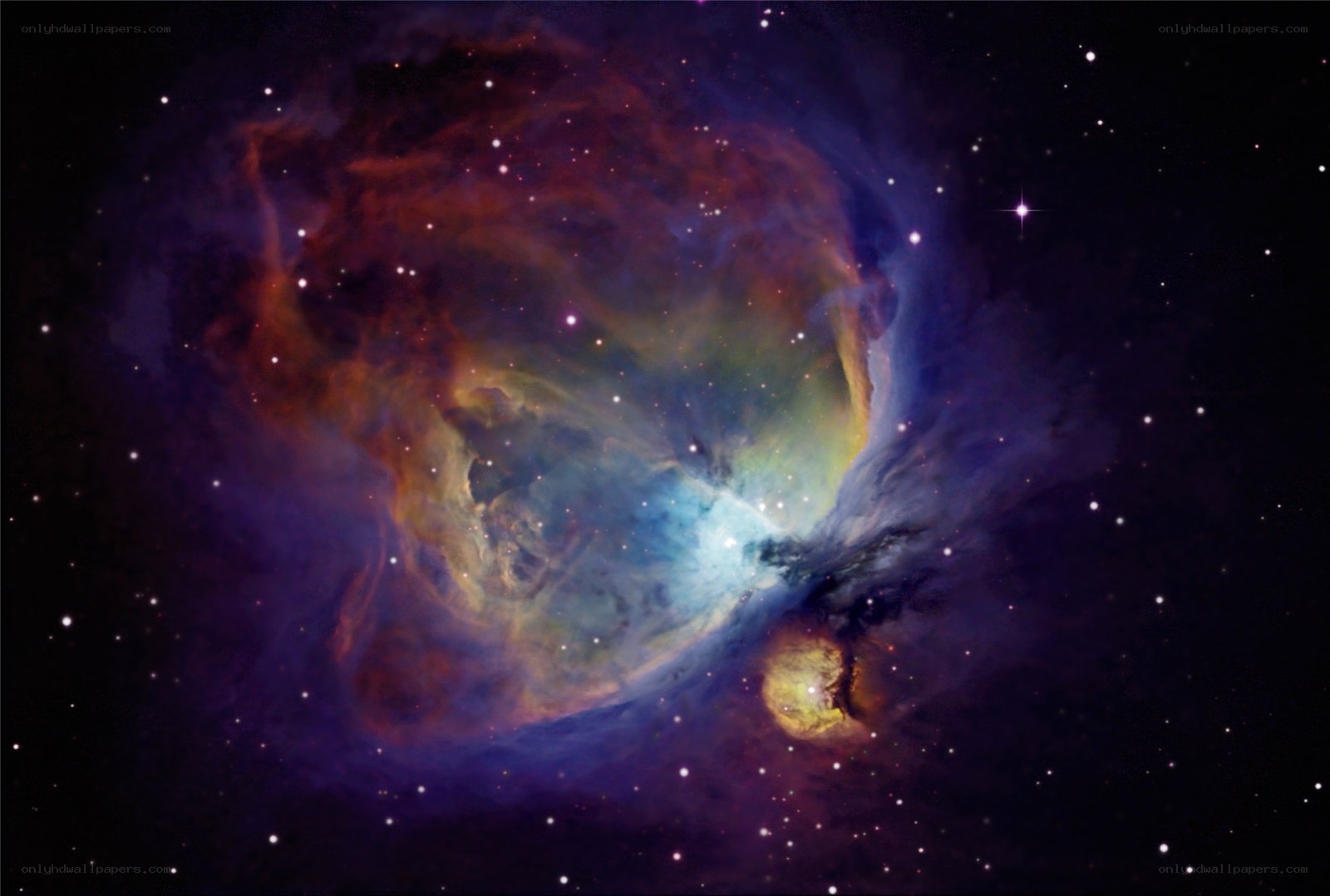 Orion Nebula in space