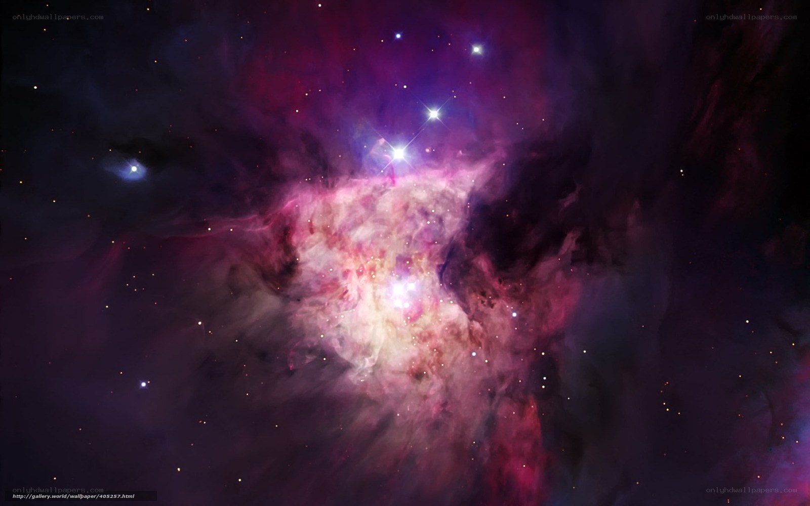 Orion Nebula in Space