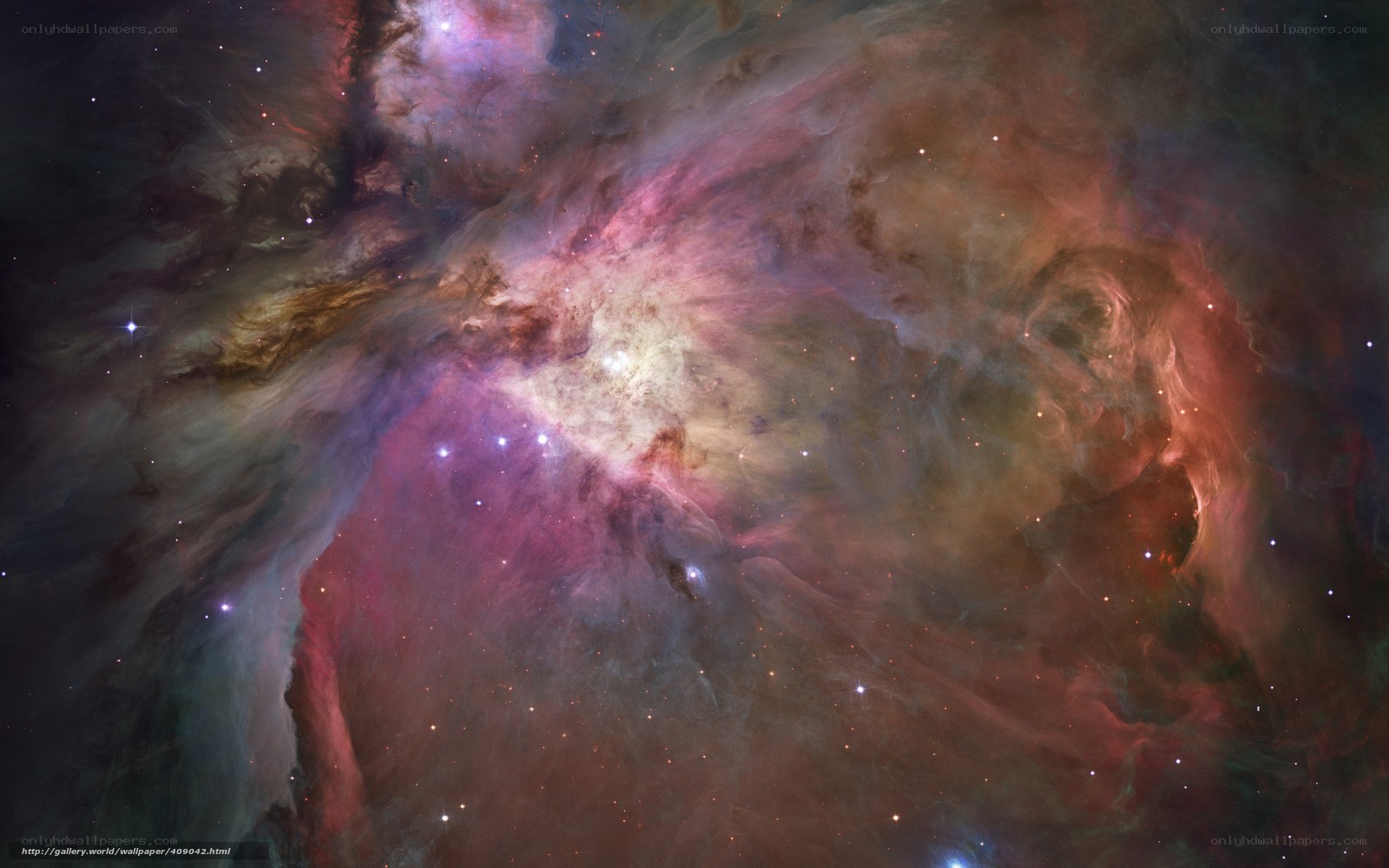 Orion Nebula in space