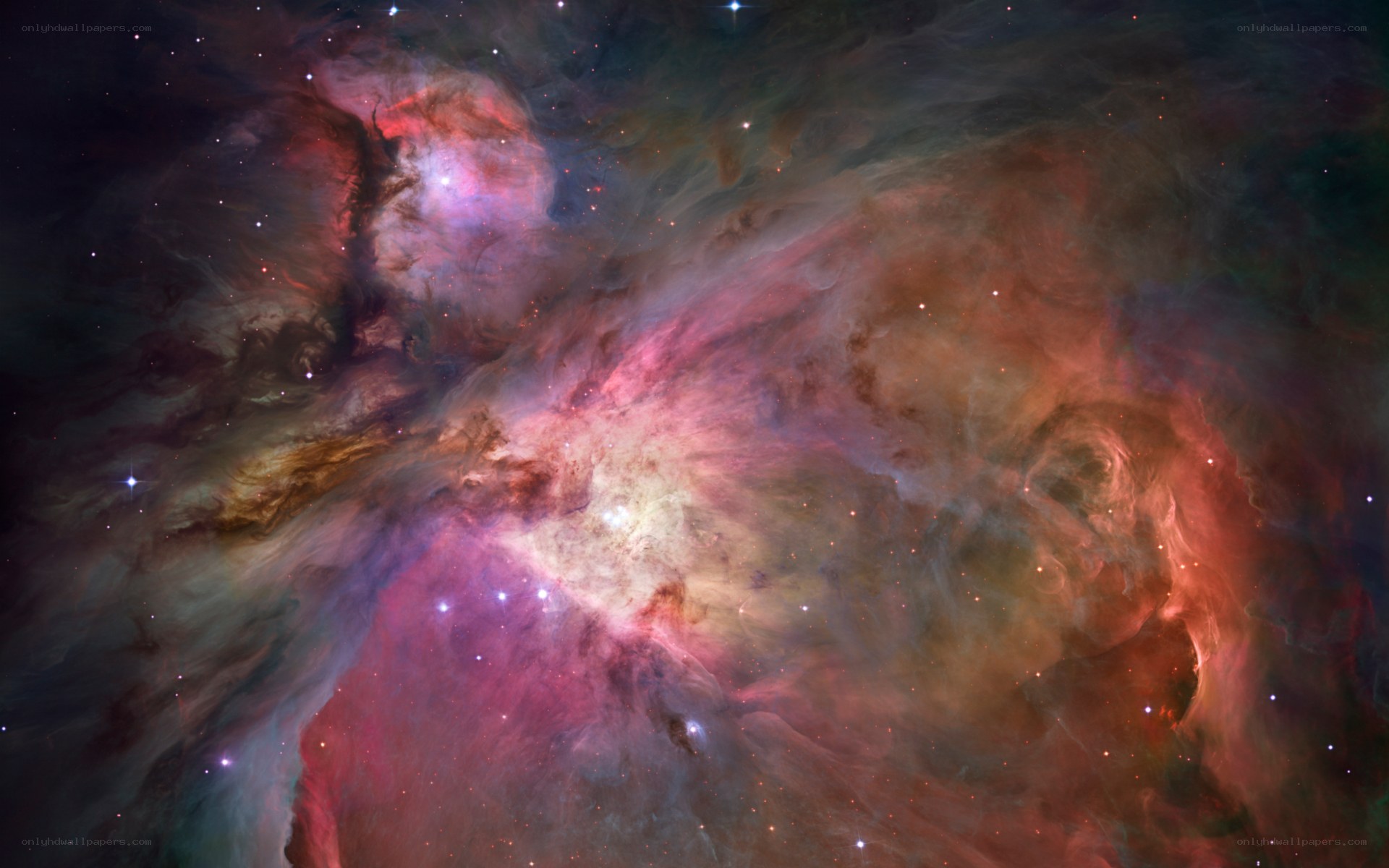 Orion Nebula in space