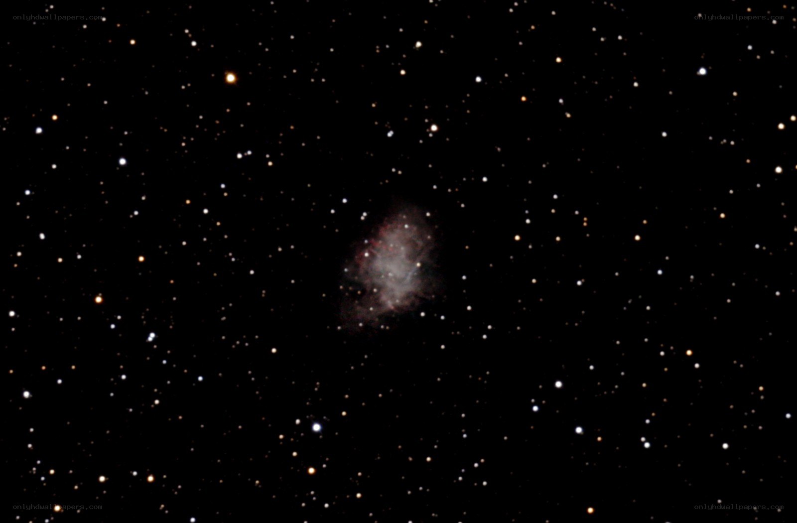 Orion Nebula in star field