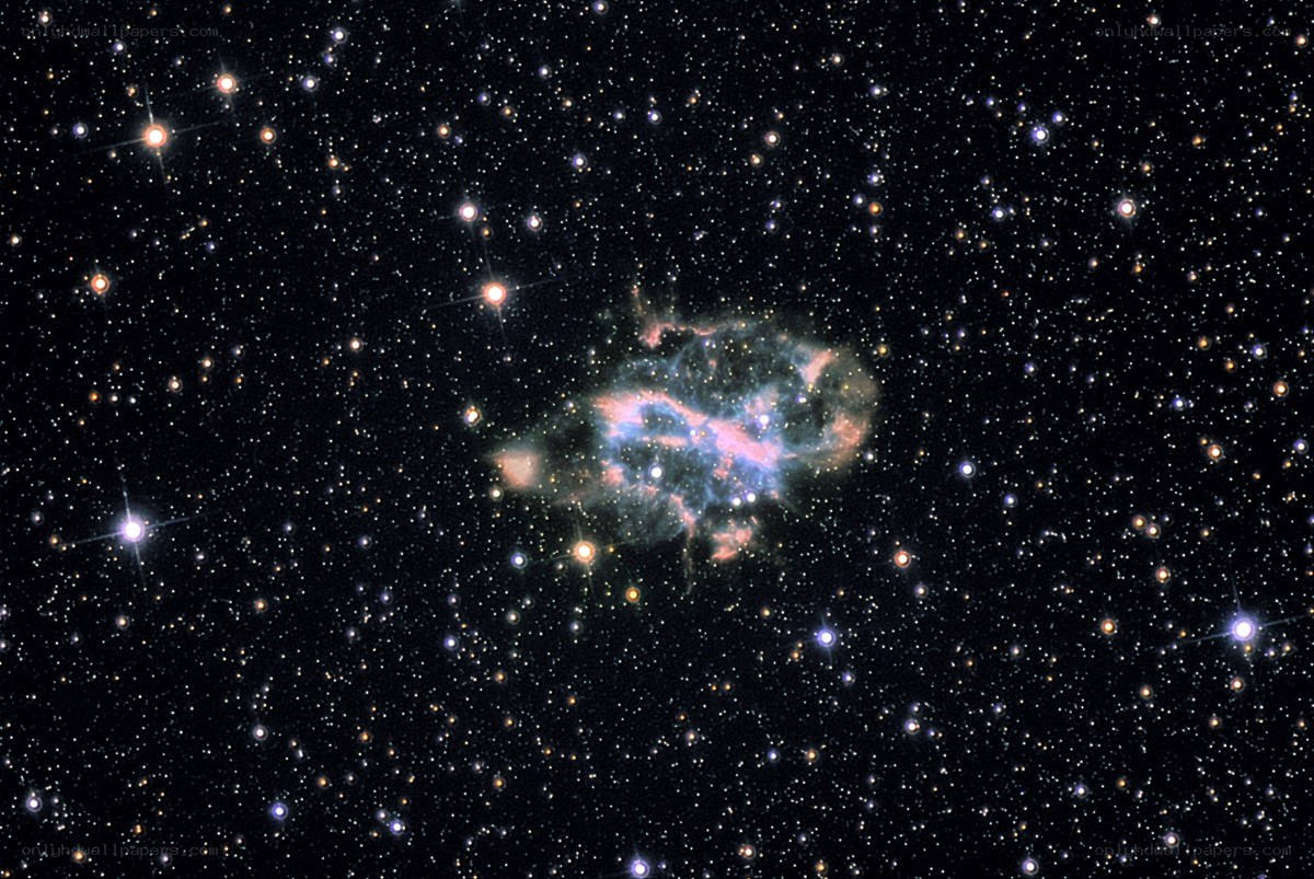 Orion Nebula in starfield