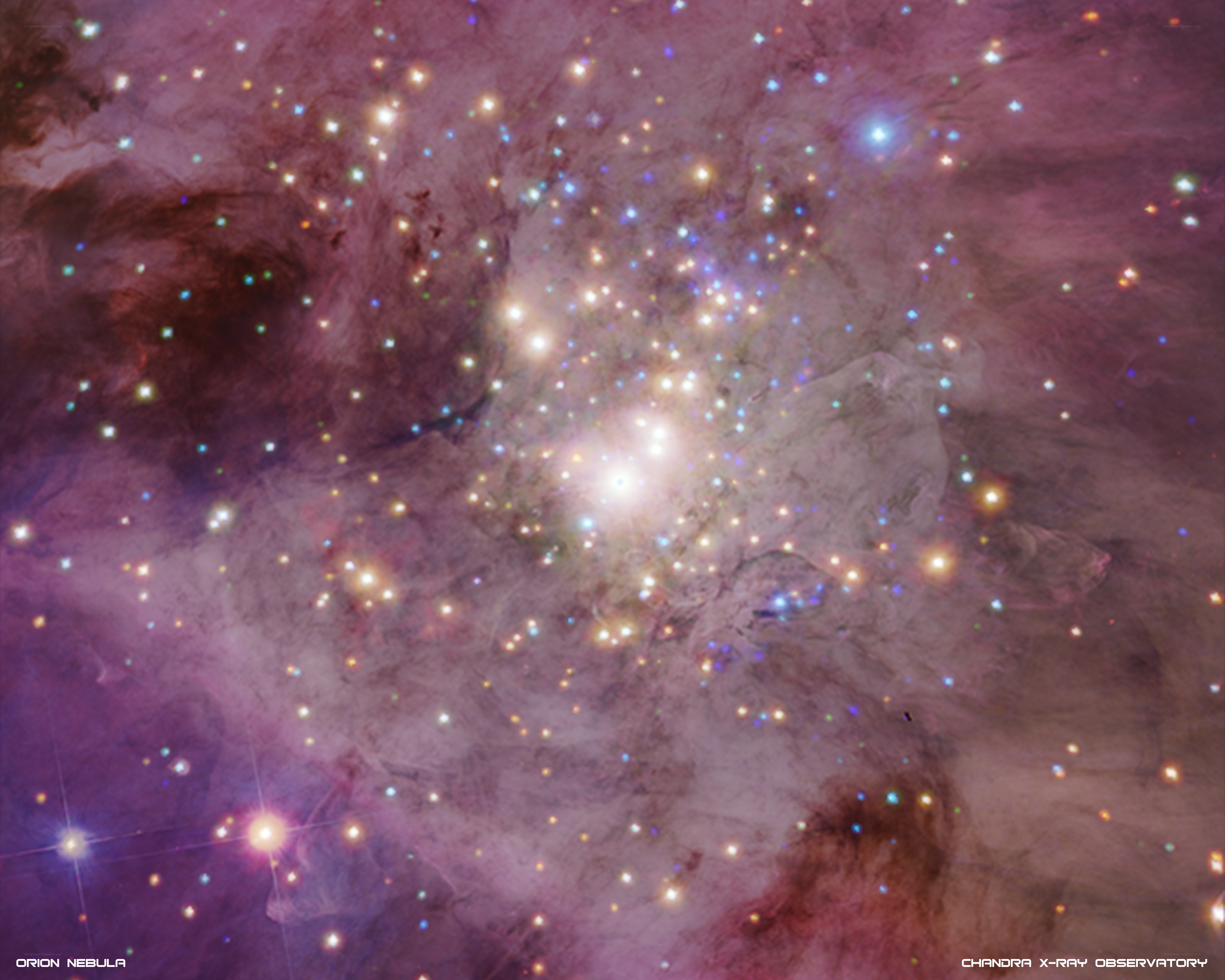 Orion Nebula in X-ray