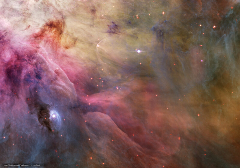 Orion Nebula — Pink, Cosmic, Photograph, Stars, Gas Clouds, Dust