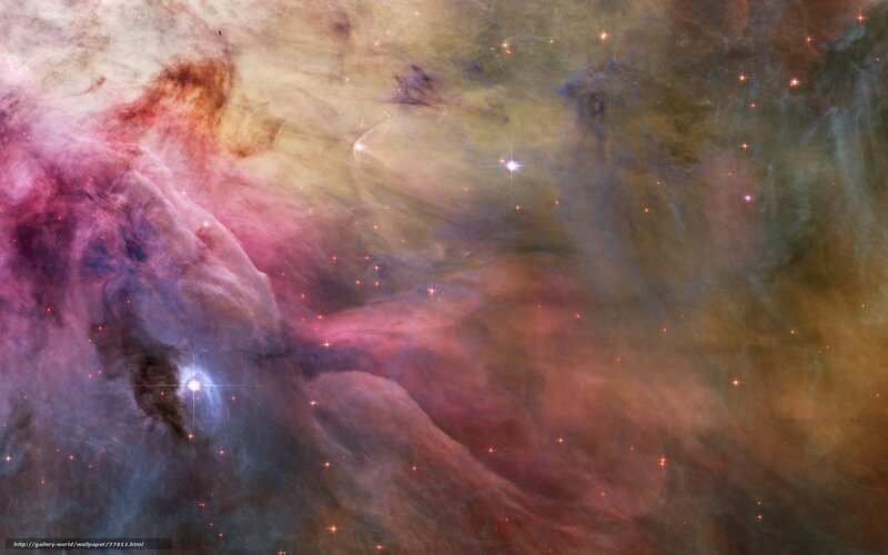 Orion Nebula — Pink