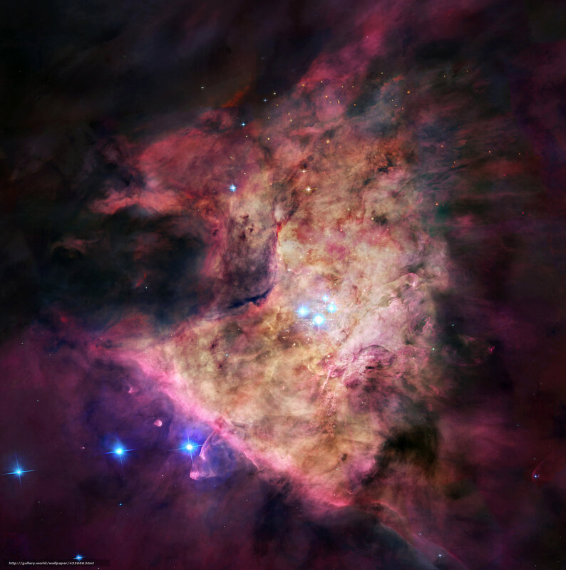 Orion Nebula — Purple, Cosmic, Photograph, Stars, Gas Clouds