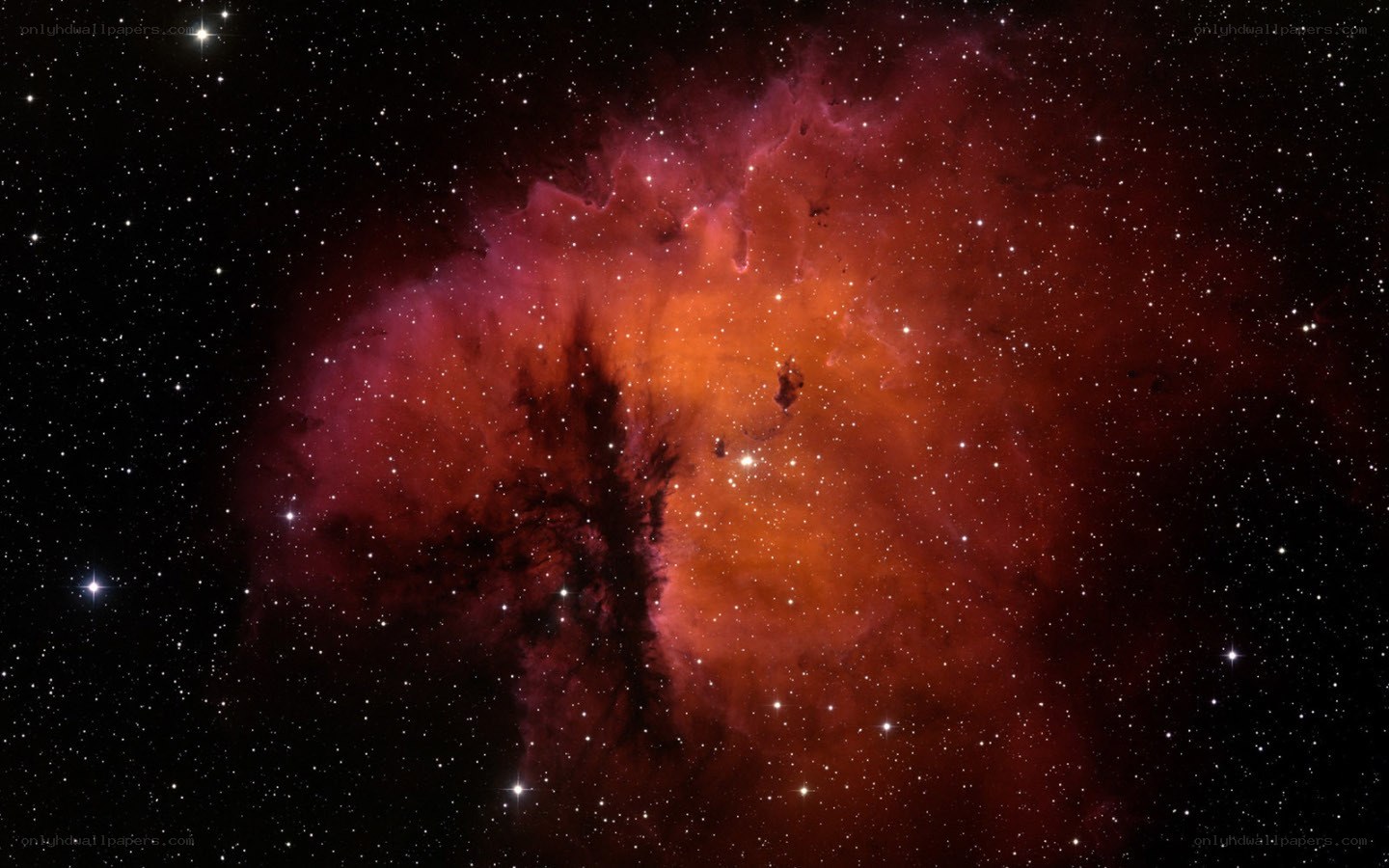 Orion Nebula region