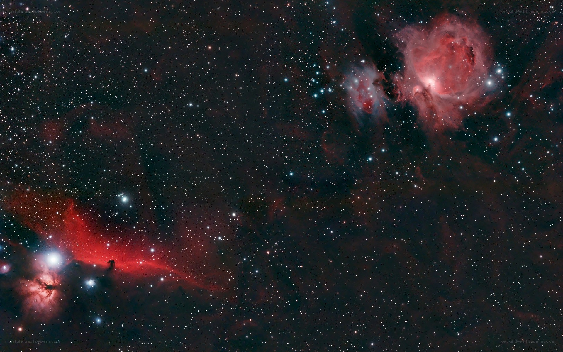 Orion Nebula region