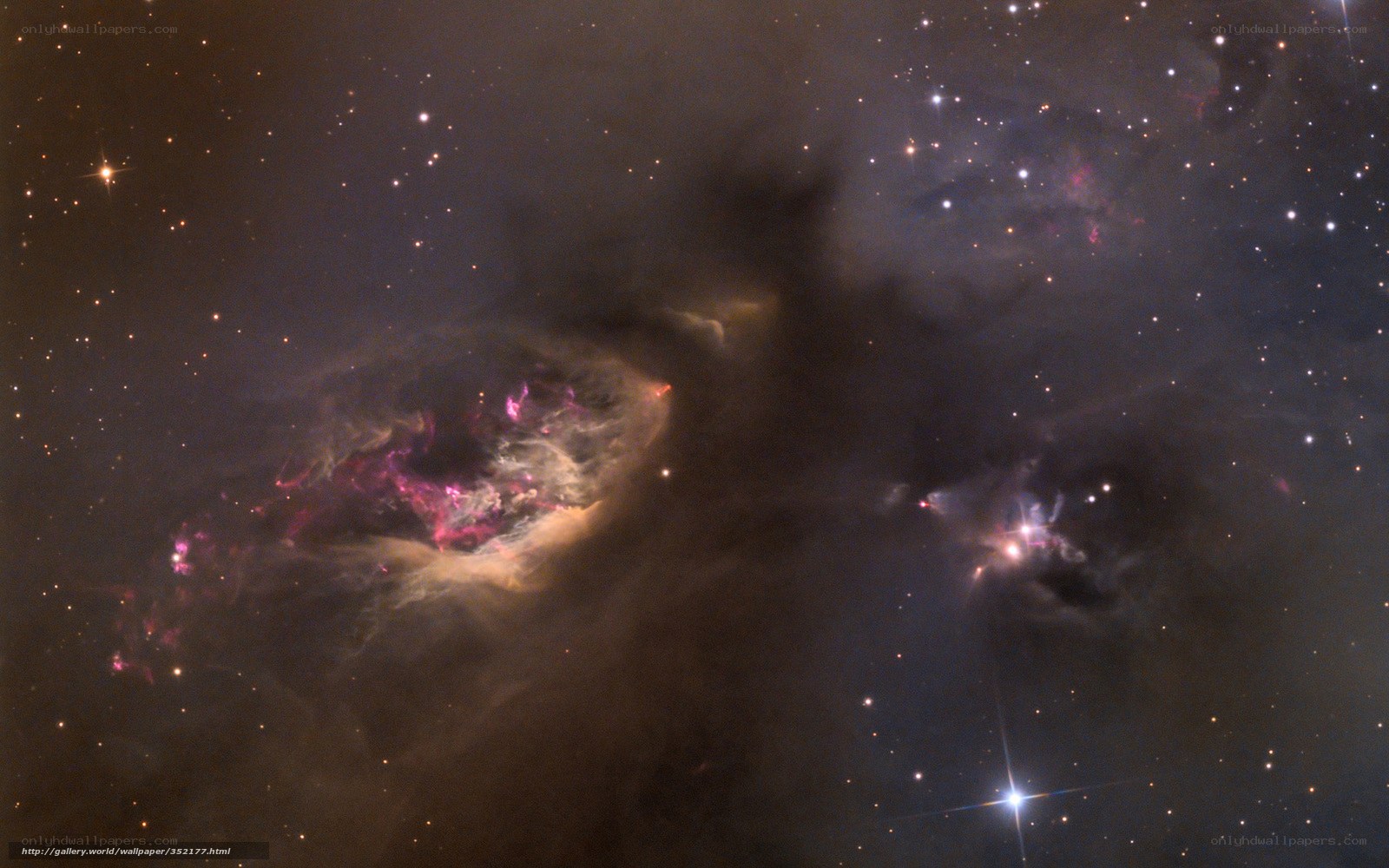Orion Nebula region