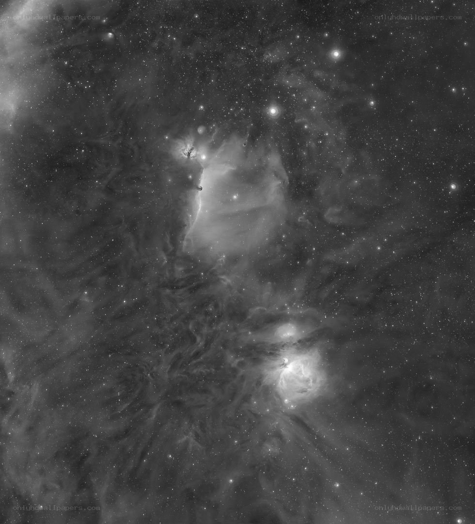 Orion Nebula region
