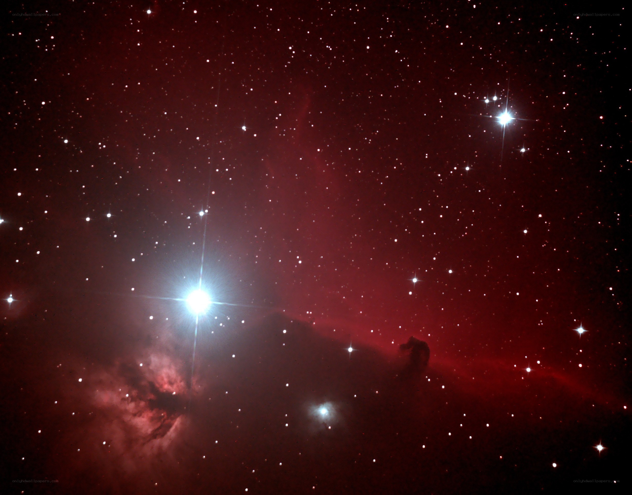 Orion Nebula region