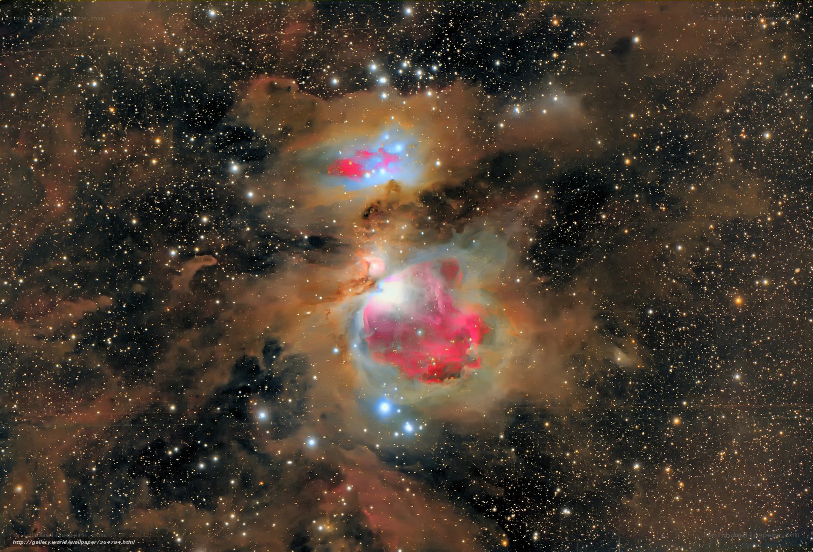 Orion Nebula region