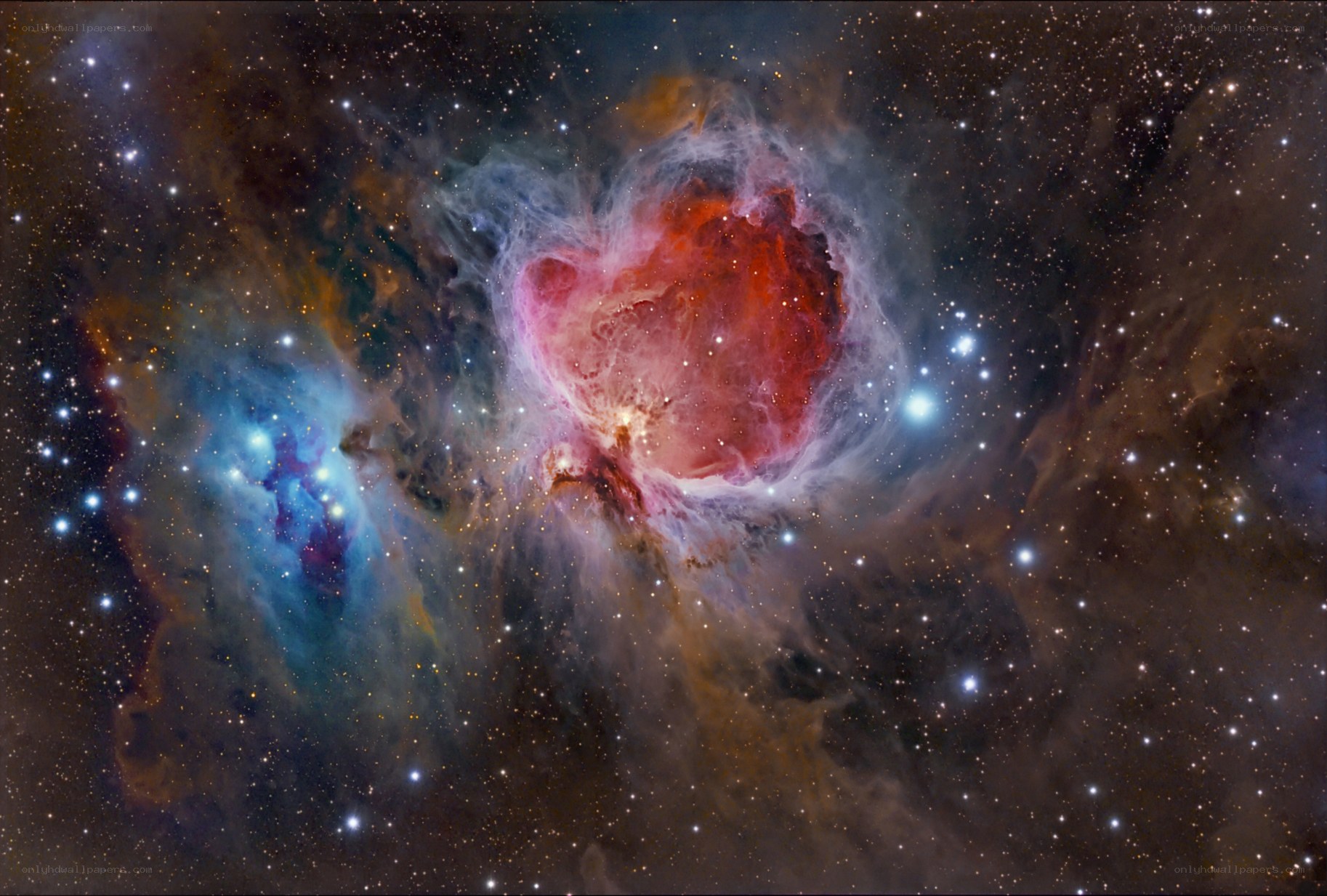 Orion Nebula region